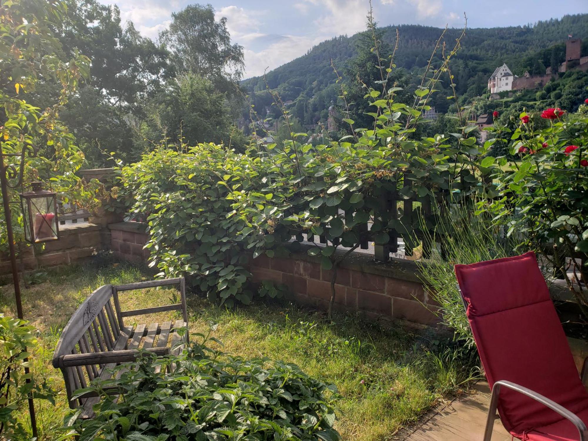Panorama-Blick Miltenberg, 3 Pers., Zentr., Am Main, Terrasse, Bootverleih, P Eksteriør billede
