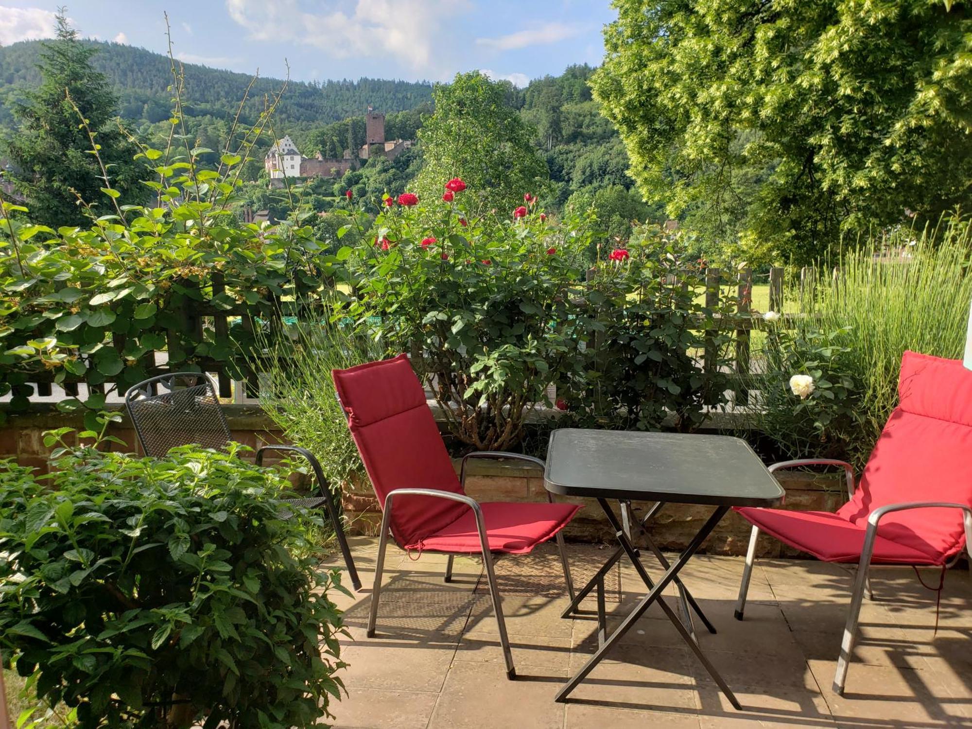 Panorama-Blick Miltenberg, 3 Pers., Zentr., Am Main, Terrasse, Bootverleih, P Eksteriør billede