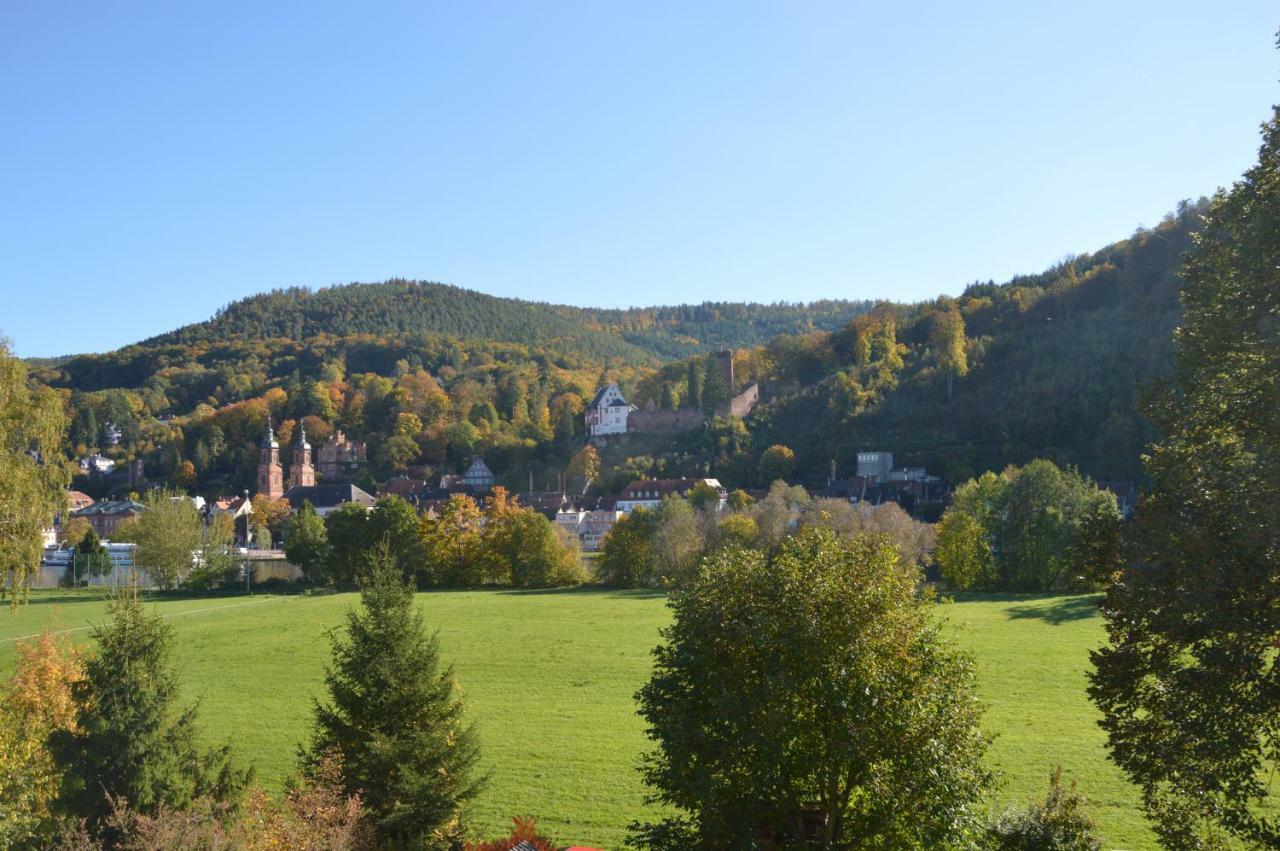 Panorama-Blick Miltenberg, 3 Pers., Zentr., Am Main, Terrasse, Bootverleih, P Eksteriør billede