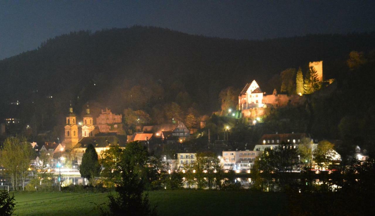 Panorama-Blick Miltenberg, 3 Pers., Zentr., Am Main, Terrasse, Bootverleih, P Eksteriør billede