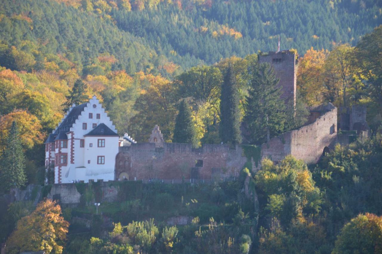 Panorama-Blick Miltenberg, 3 Pers., Zentr., Am Main, Terrasse, Bootverleih, P Eksteriør billede