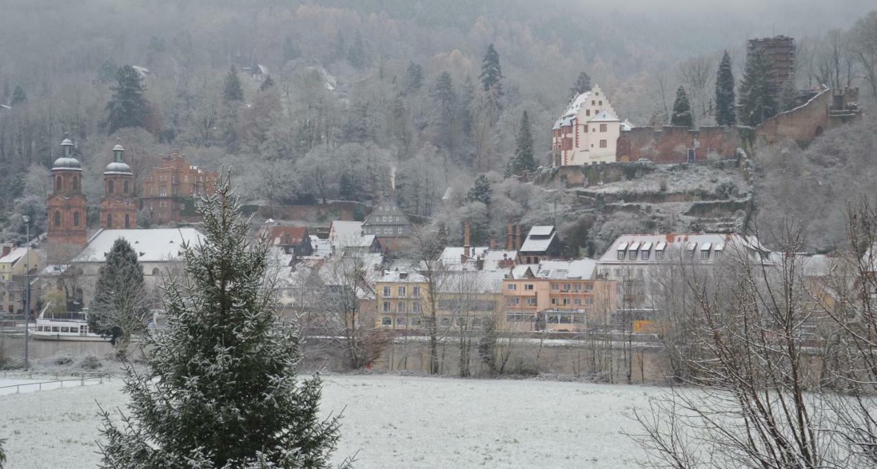 Panorama-Blick Miltenberg, 3 Pers., Zentr., Am Main, Terrasse, Bootverleih, P Eksteriør billede