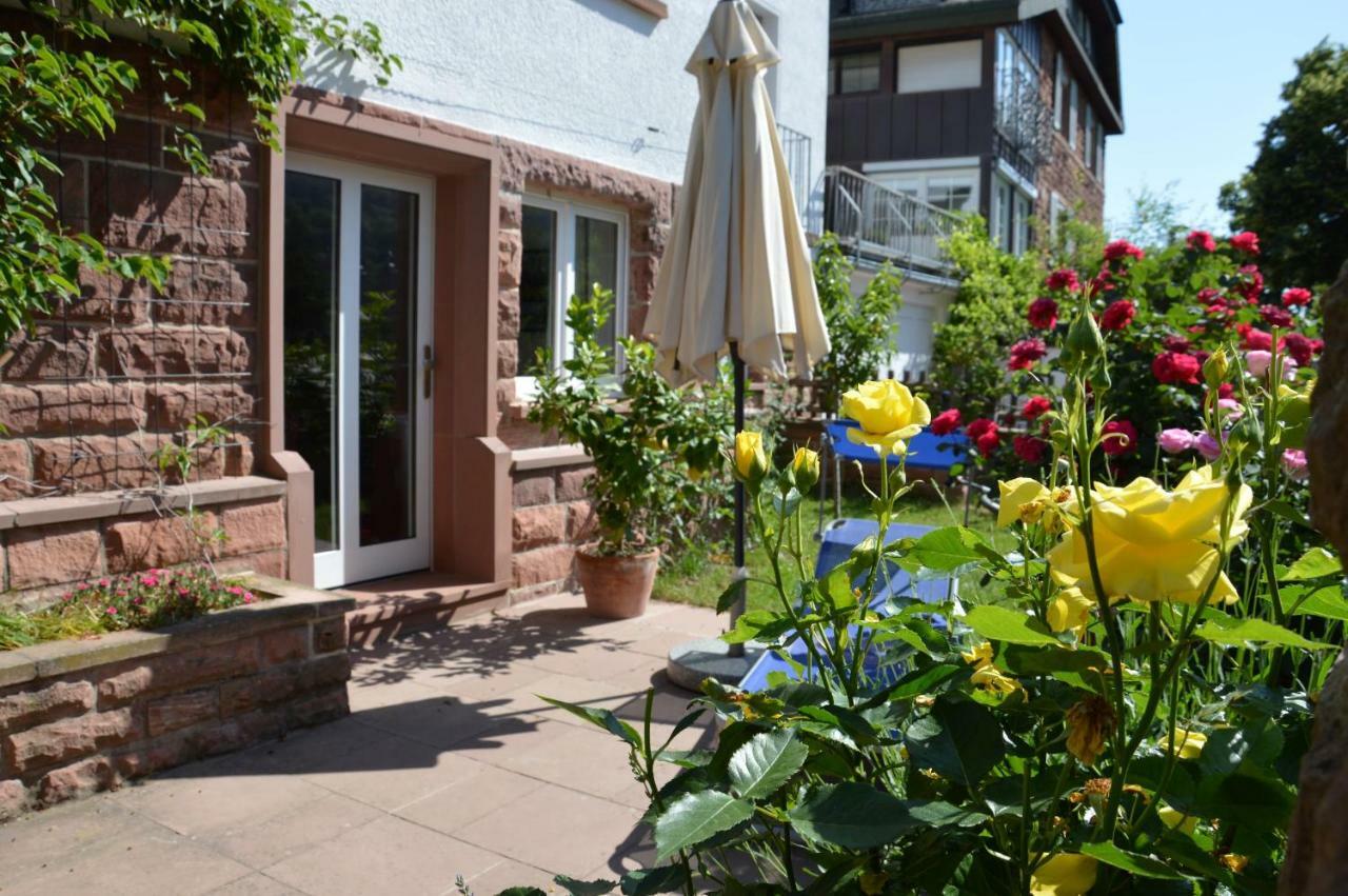 Panorama-Blick Miltenberg, 3 Pers., Zentr., Am Main, Terrasse, Bootverleih, P Eksteriør billede